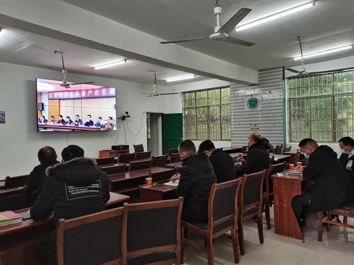 大祥区召开区委经济工作暨产业发展大会(图5)